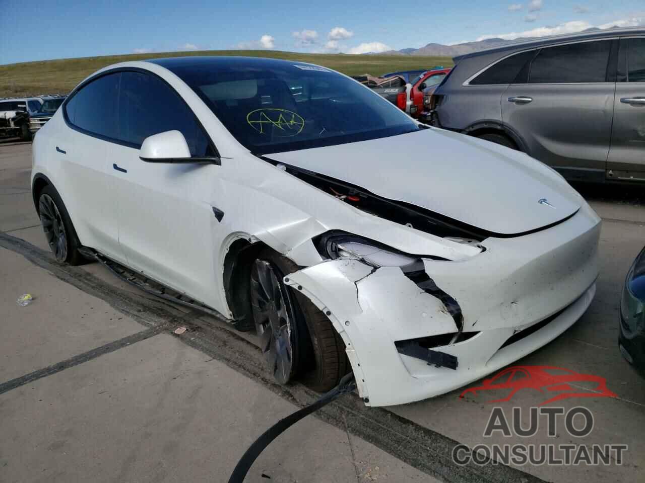 TESLA MODEL Y 2022 - 7SAYGDEF5NF362176