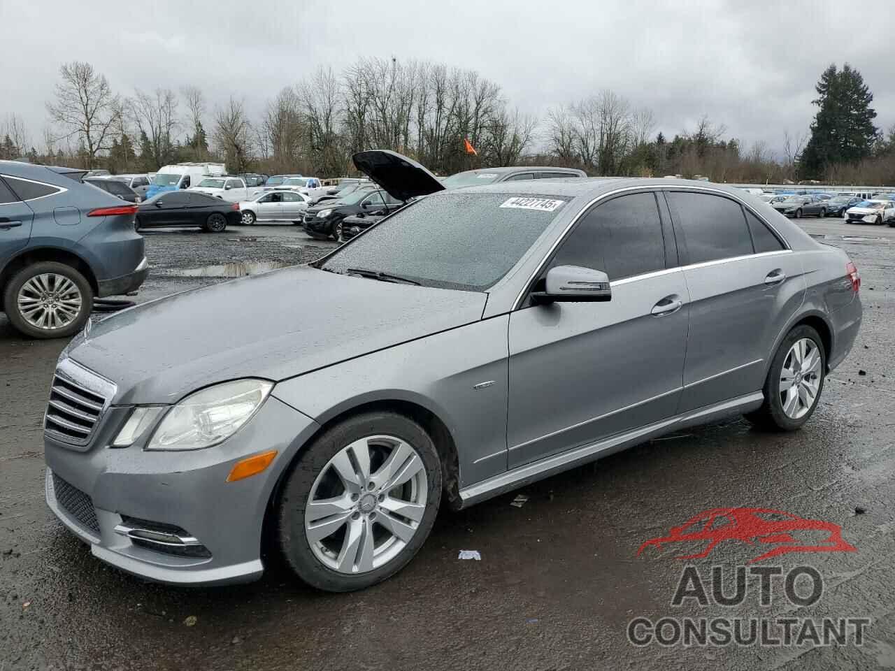 MERCEDES-BENZ E-CLASS 2012 - WDDHF2EB9CA600902