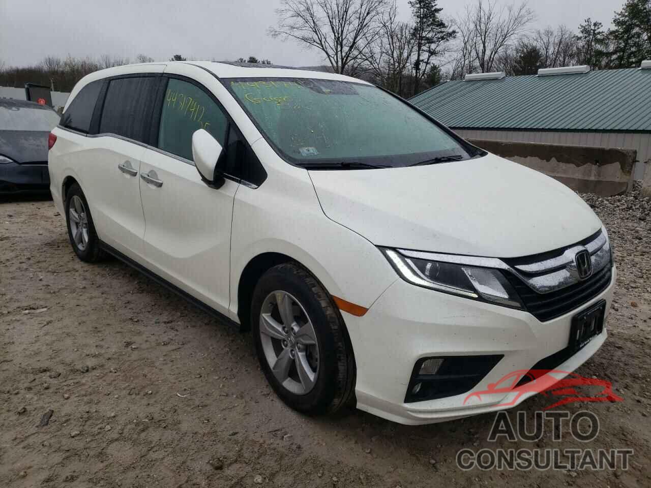 HONDA ODYSSEY 2019 - 5FNRL6H79KB121889