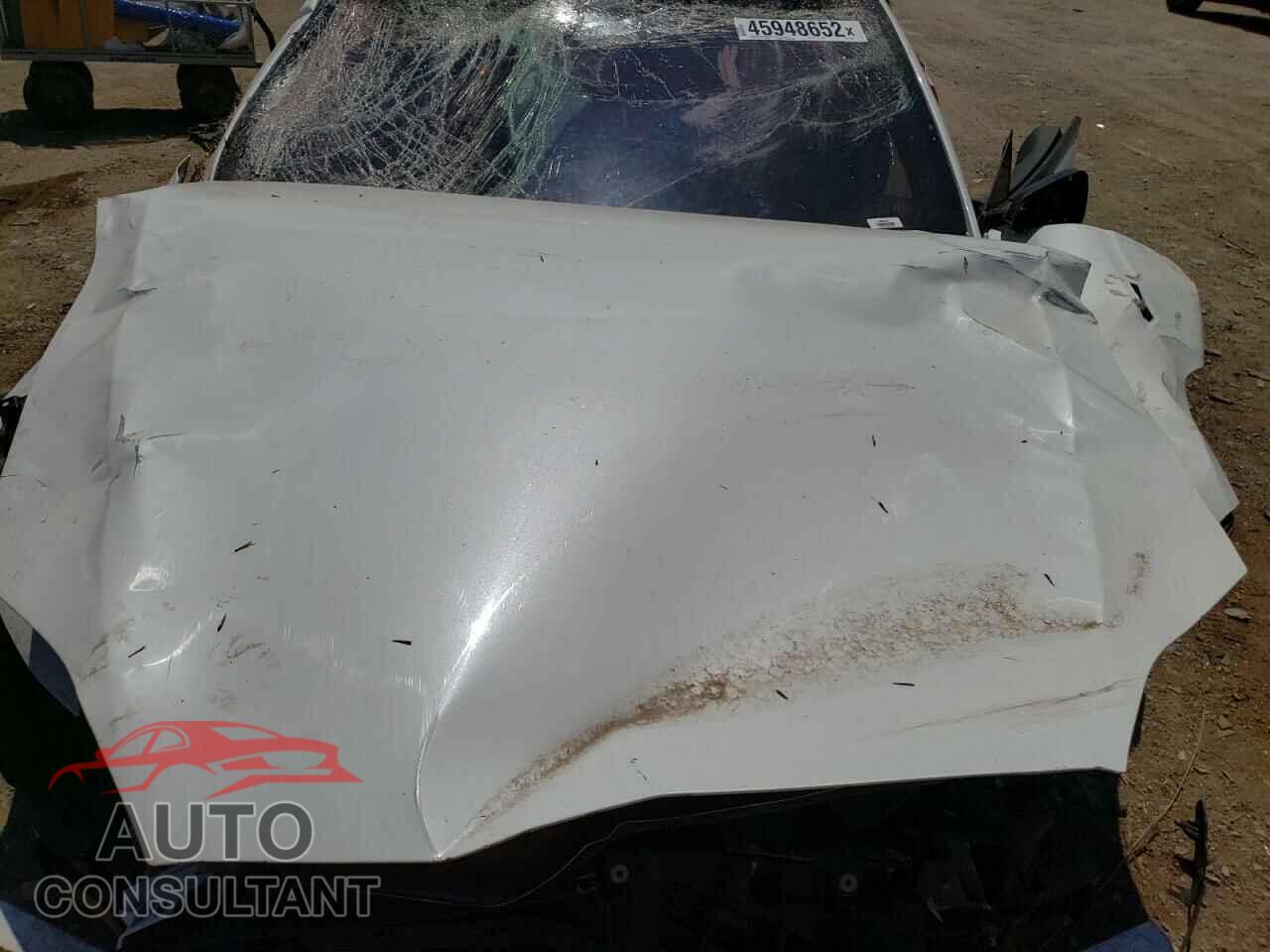 TESLA MODEL S 2021 - 5YJSA1E69MF443697