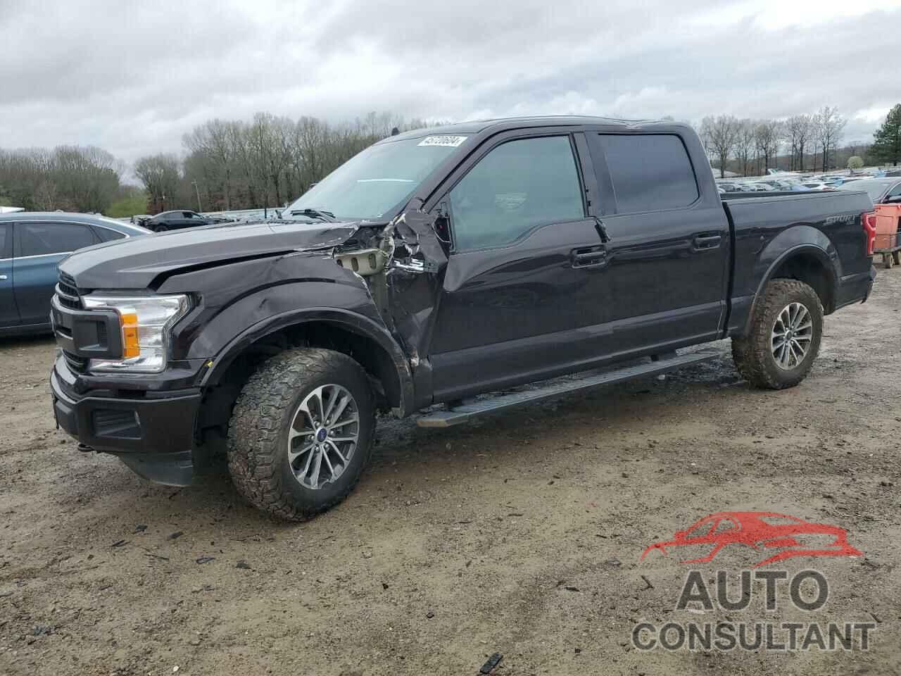 FORD F-150 2019 - 1FTEW1EP8KFC81660