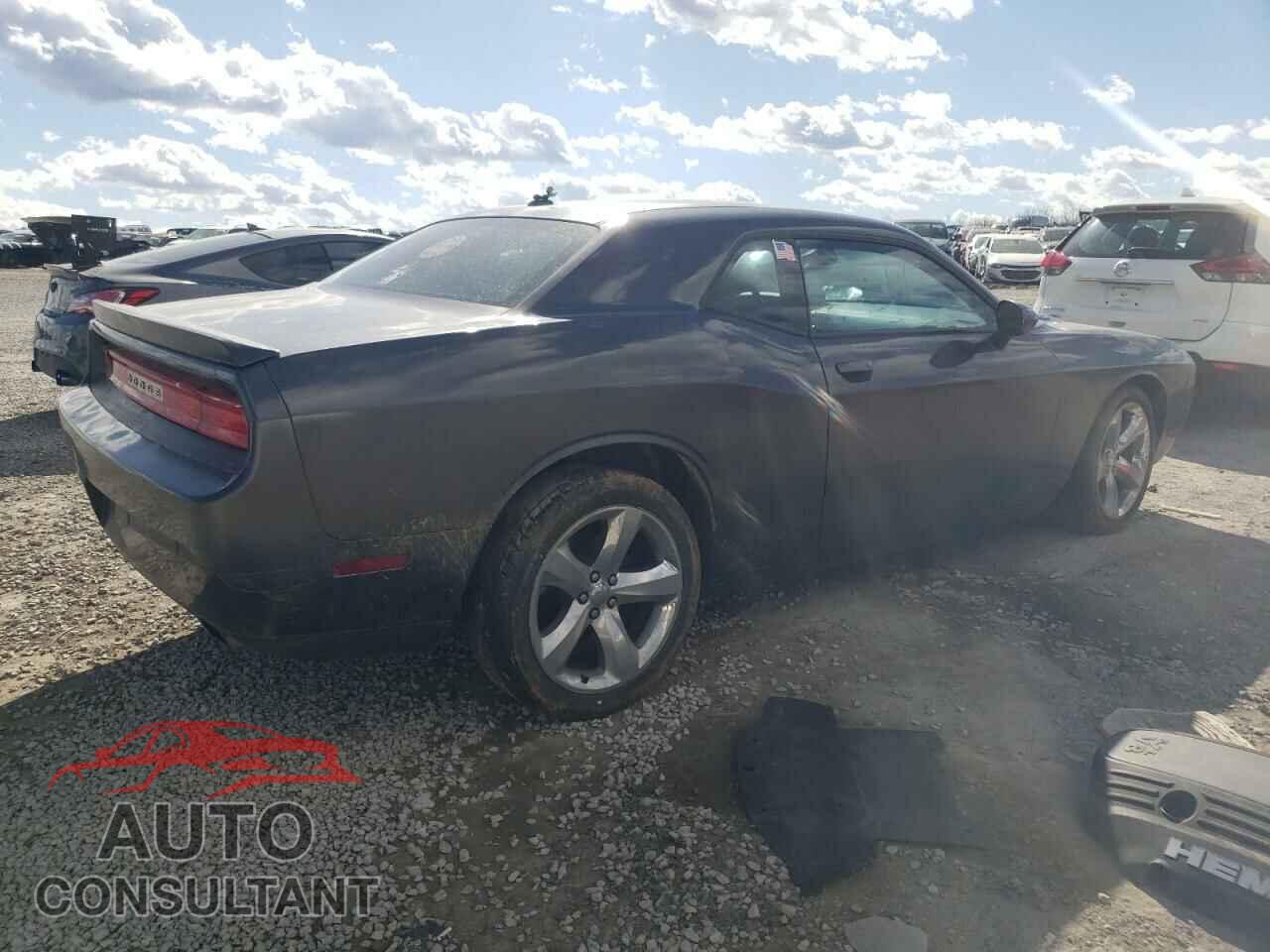 DODGE CHALLENGER 2013 - 2C3CDYBT2DH679671
