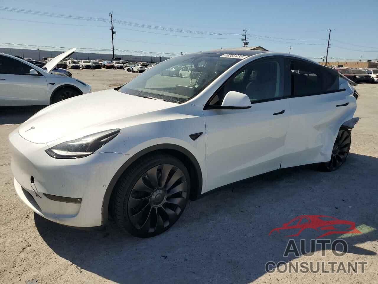 TESLA MODEL Y 2022 - 7SAYGDEF7NF552867