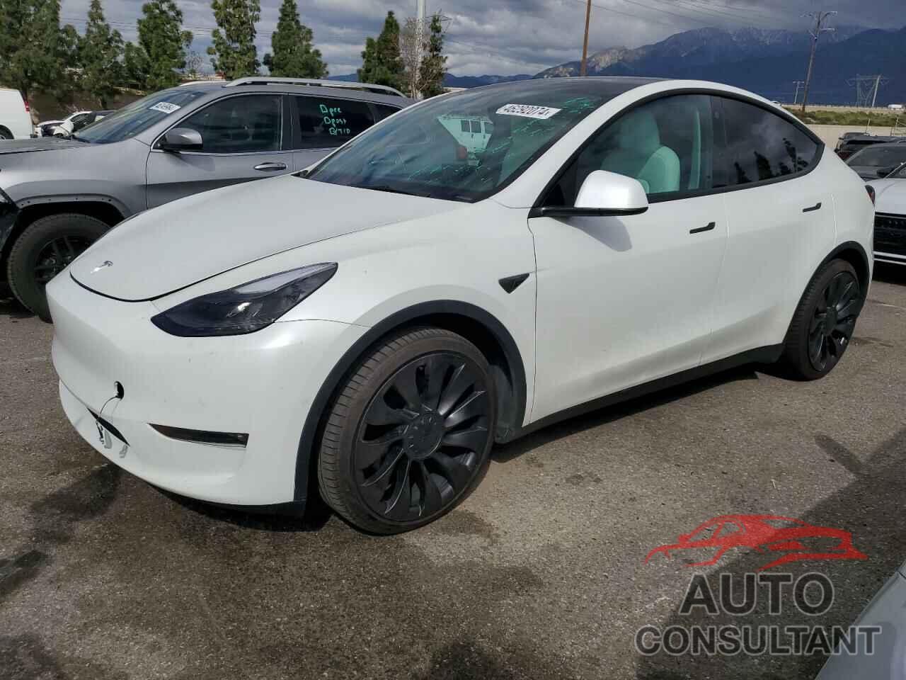 TESLA MODEL Y 2022 - 7SAYGDEF3NF317088