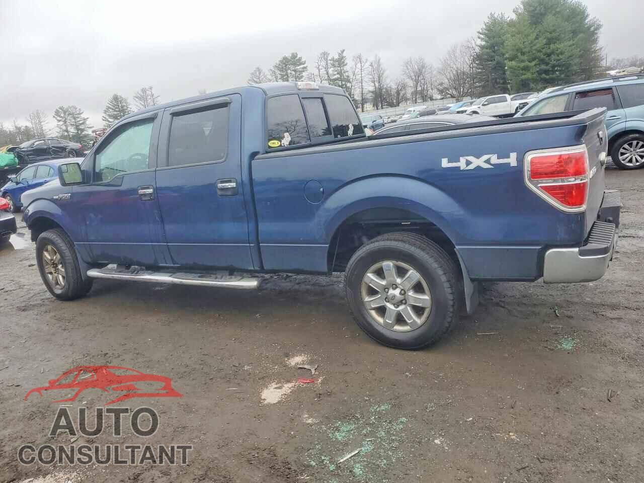 FORD F150 2013 - 1FTFW1EF2DKG42225