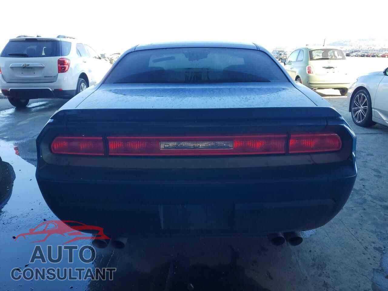 DODGE CHALLENGER 2010 - 2B3CJ5DTXAH319156