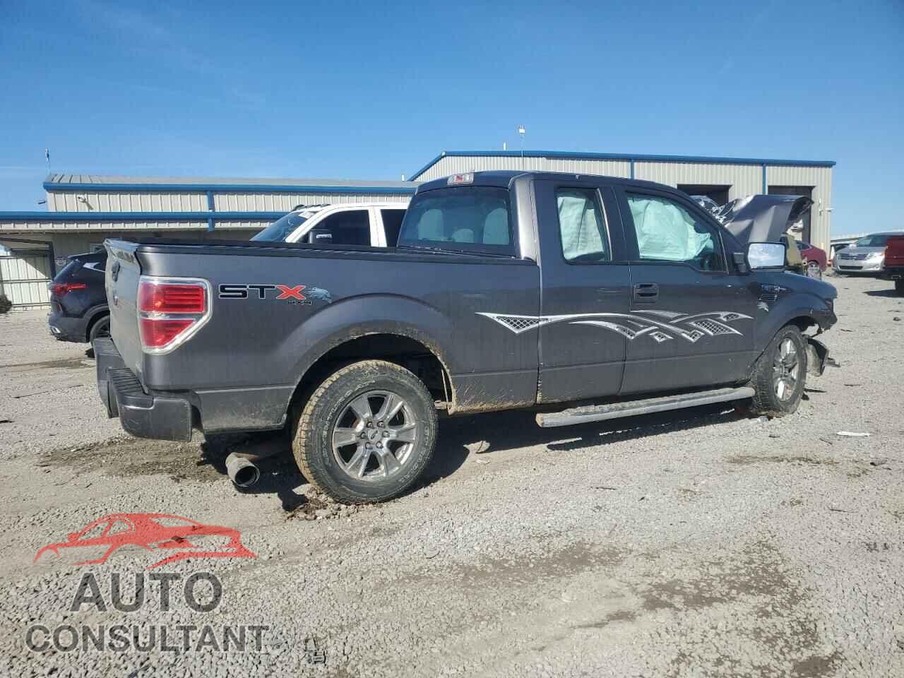 FORD F-150 2013 - 1FTFX1EF3DFC99558