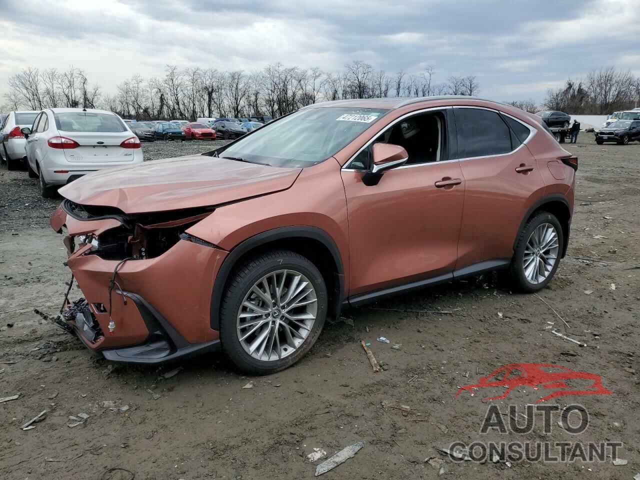 LEXUS NX 350 PRE 2025 - 2T2GGCEZ6SC071842