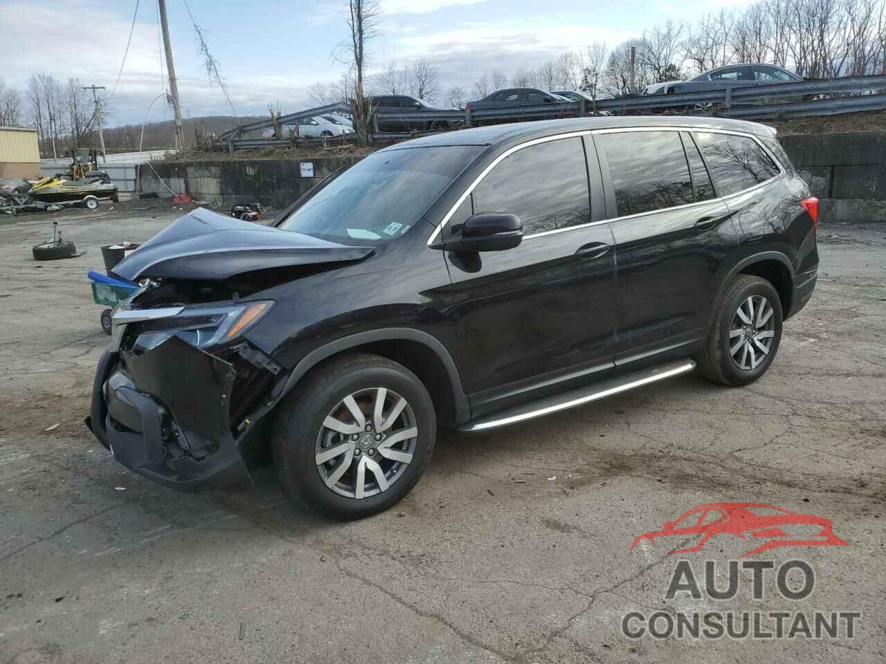 HONDA PILOT 2019 - 5FNYF6H5XKB097815