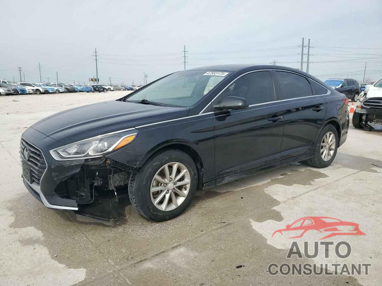 HYUNDAI SONATA 2019 - 5NPE24AF1KH750507