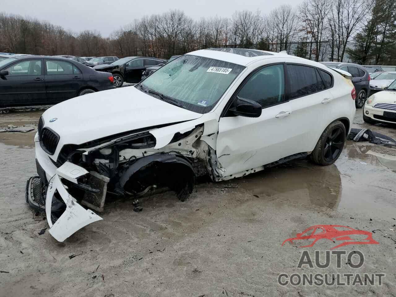 BMW X6 2009 - 5UXFG83579LZ94247