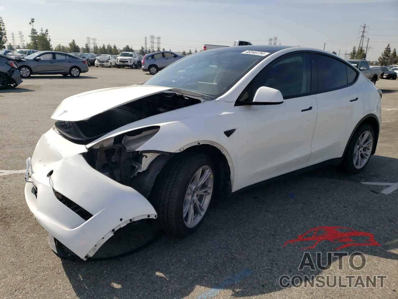 TESLA MODEL Y 2021 - 5YJYGDEE5MF217657