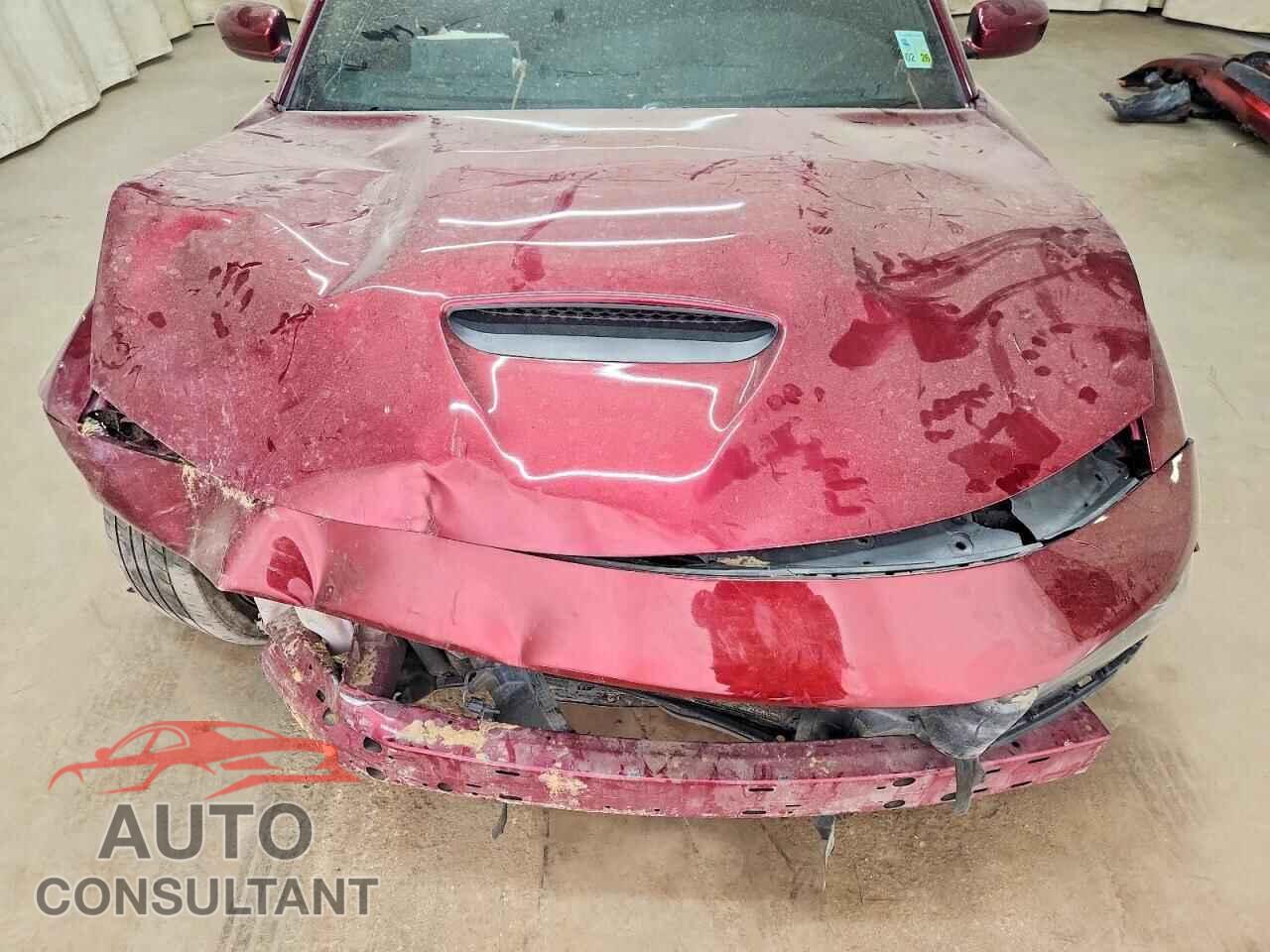 DODGE CHARGER 2019 - 2C3CDXCT6KH575772