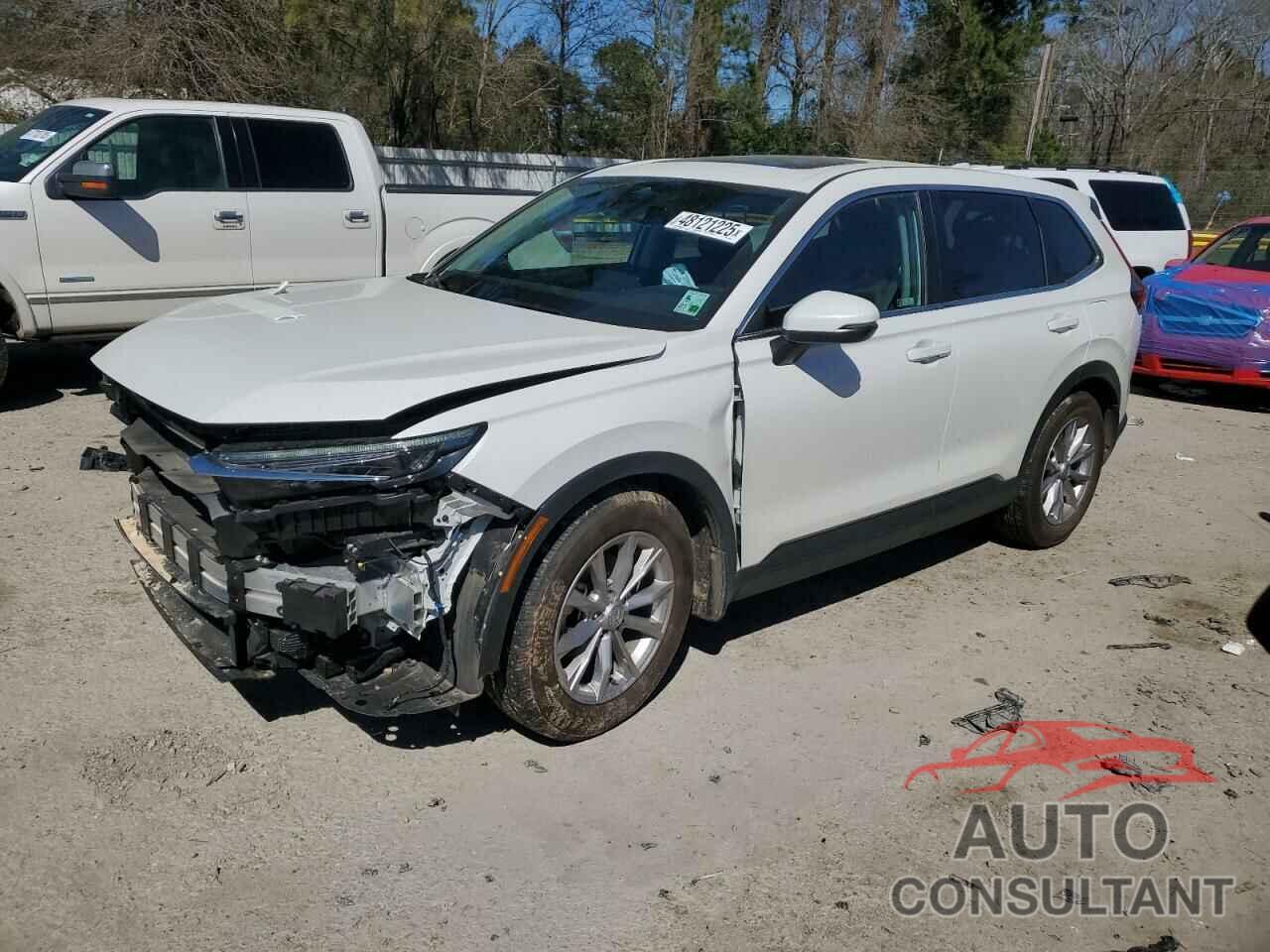 HONDA CRV 2024 - 2HKRS3H75RH316479