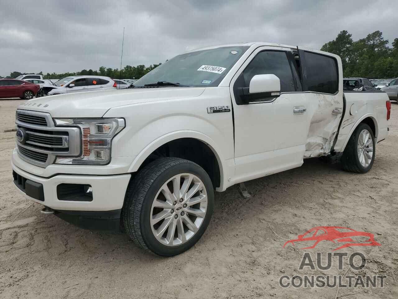 FORD F-150 2019 - 1FTEW1EG9KFC96491