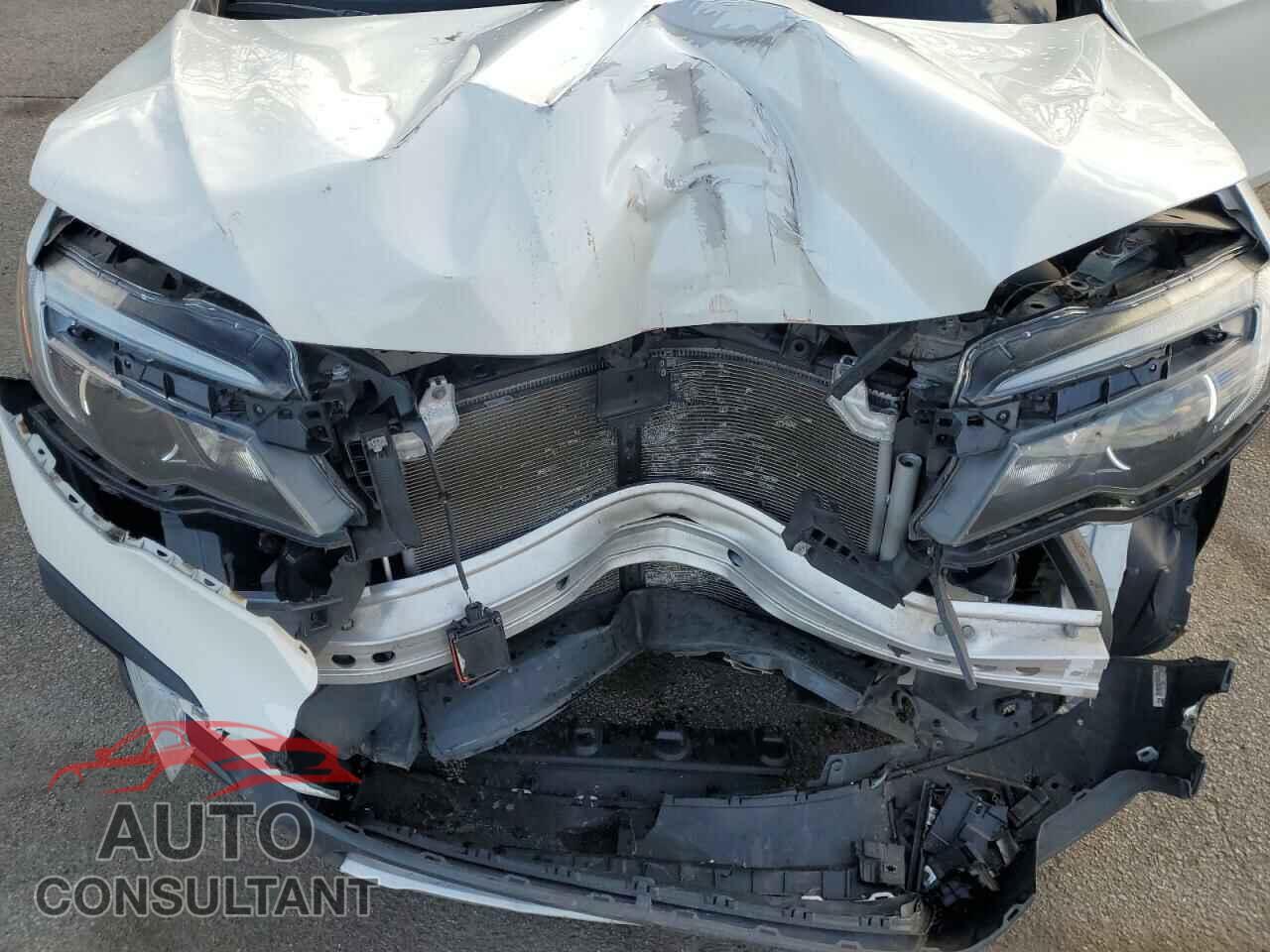HONDA PILOT 2019 - 5FNYF6H50KB076830