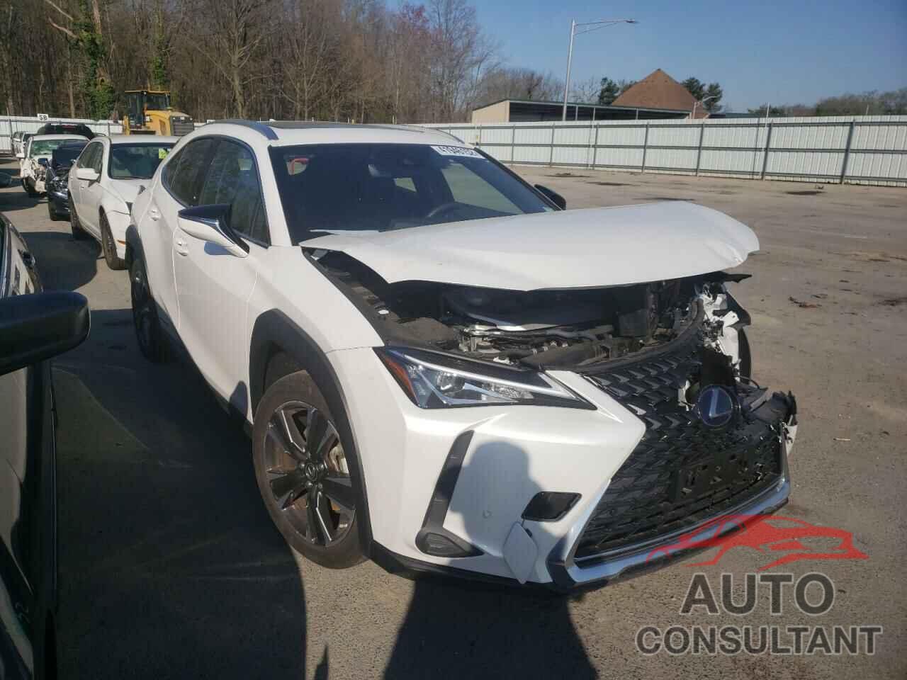 LEXUS UX 250H 2019 - JTHU9JBH4K2007510