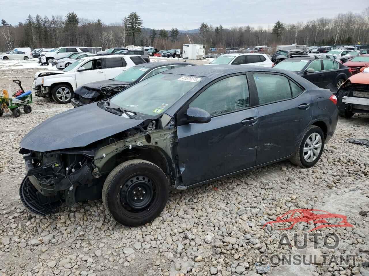 TOYOTA COROLLA 2016 - 2T1BURHE2GC710728