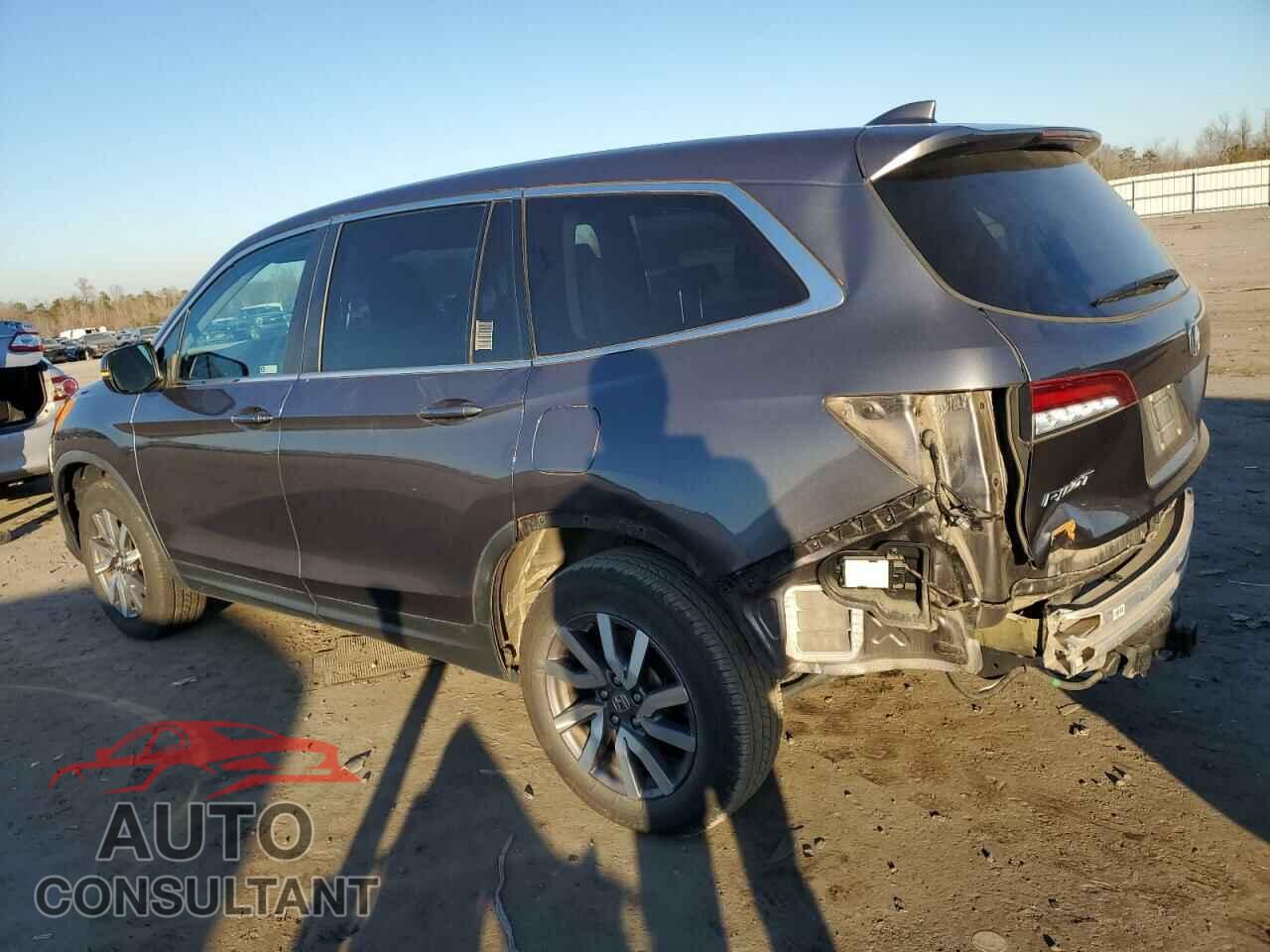 HONDA PILOT 2019 - 5FNYF6H5XKB053863