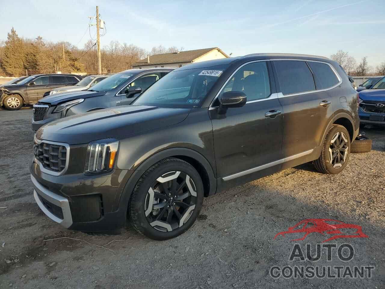 KIA TELLURIDE 2024 - 5XYP6DGC2RG552417