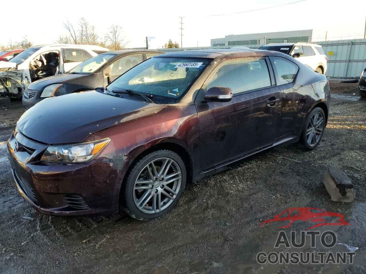 TOYOTA SCION 2011 - JTKJF5C75B3004189