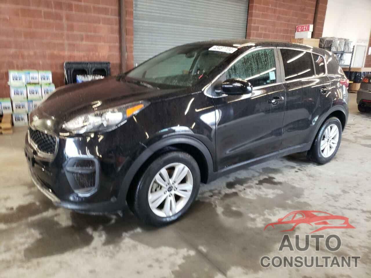 KIA SPORTAGE 2019 - KNDPM3AC2K7619111