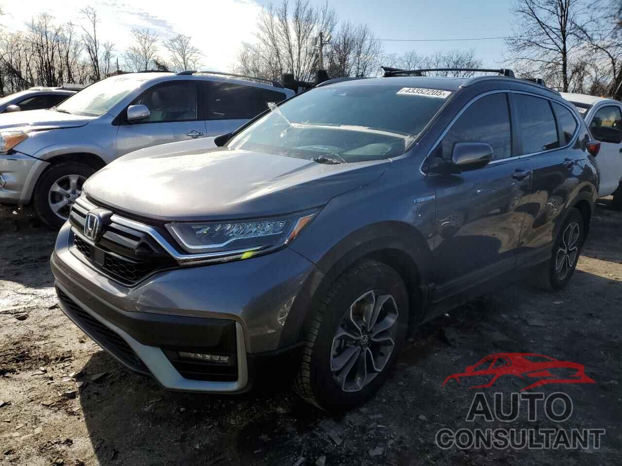HONDA CRV 2025 - 5J6RS6H85SL022148
