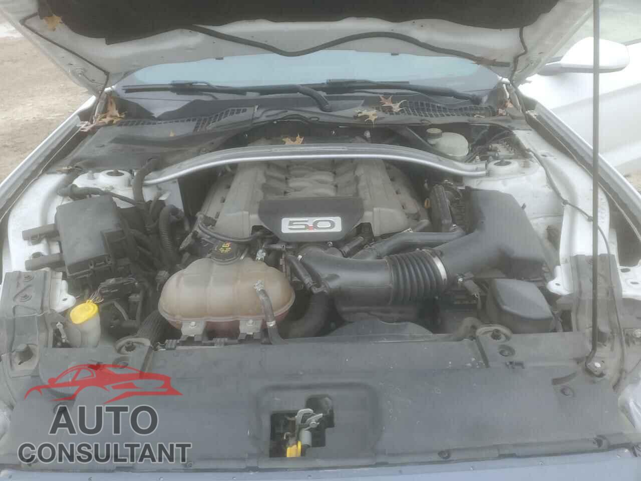 FORD MUSTANG 2016 - 1FA6P8CF1G5328566