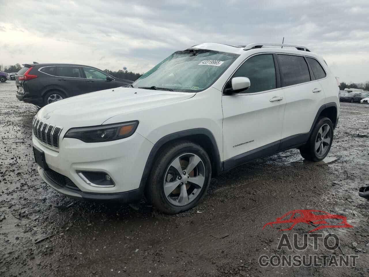JEEP CHEROKEE 2019 - 1C4PJLDB0KD444421