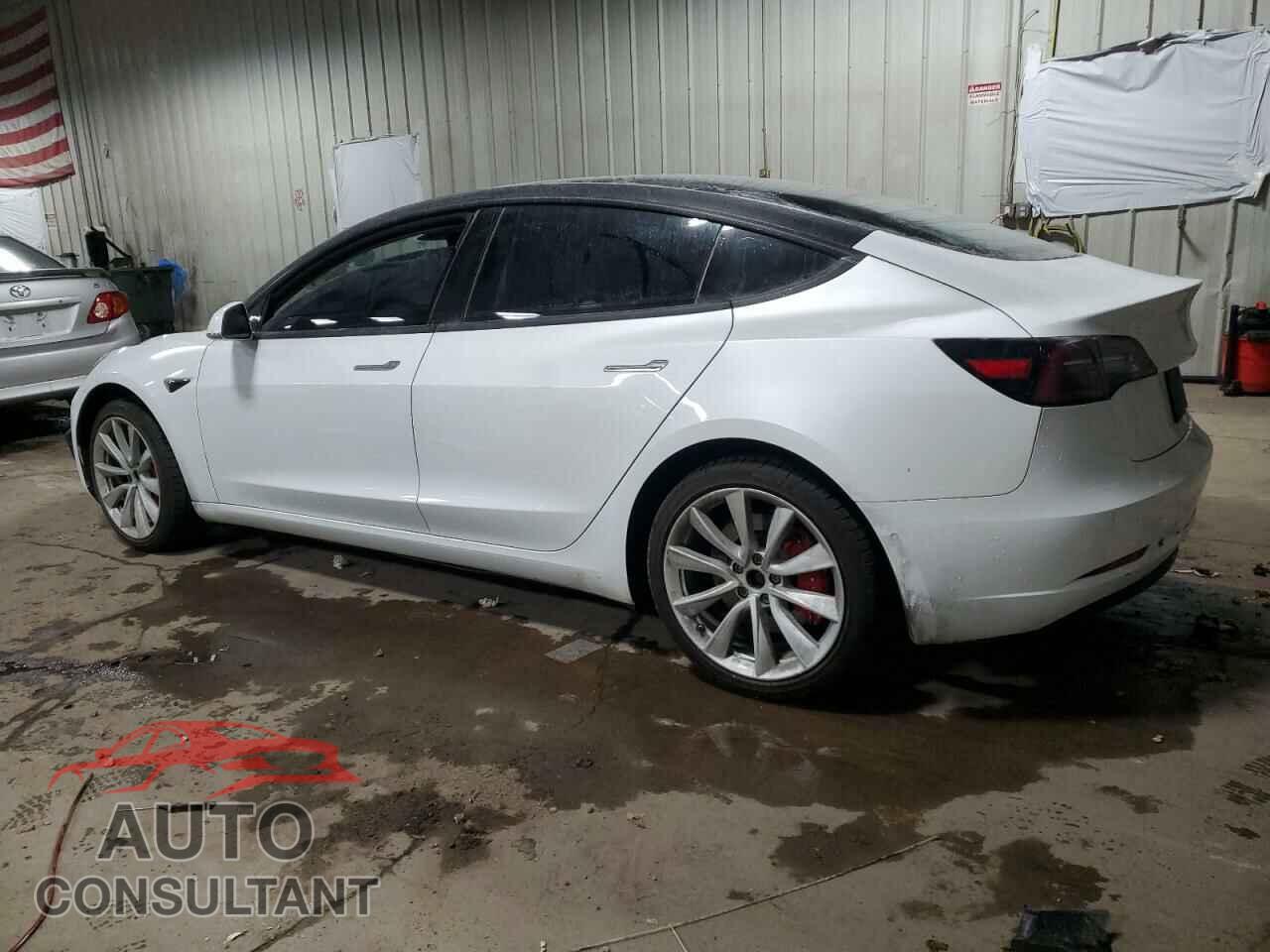 TESLA MODEL 3 2019 - 5YJ3E1EA8KF436198