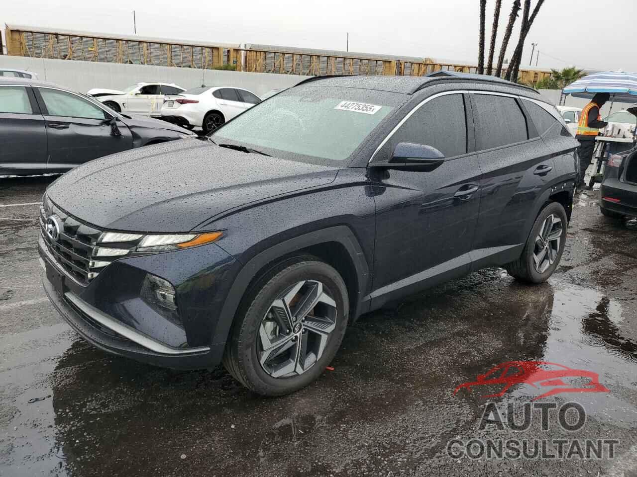 HYUNDAI TUCSON 2023 - KM8JFCA11PU102594