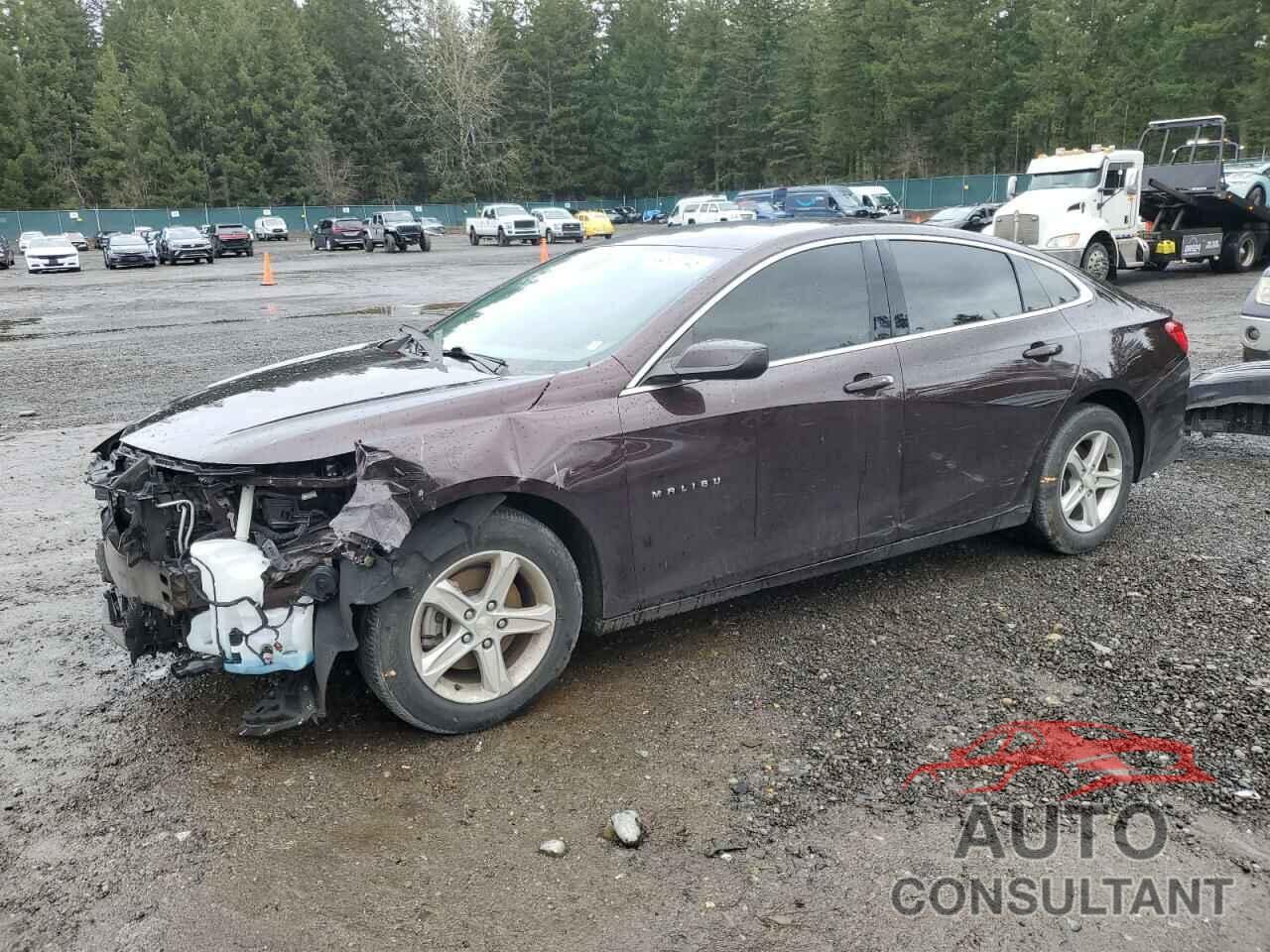 CHEVROLET MALIBU 2020 - 1G1ZC5ST7LF107995