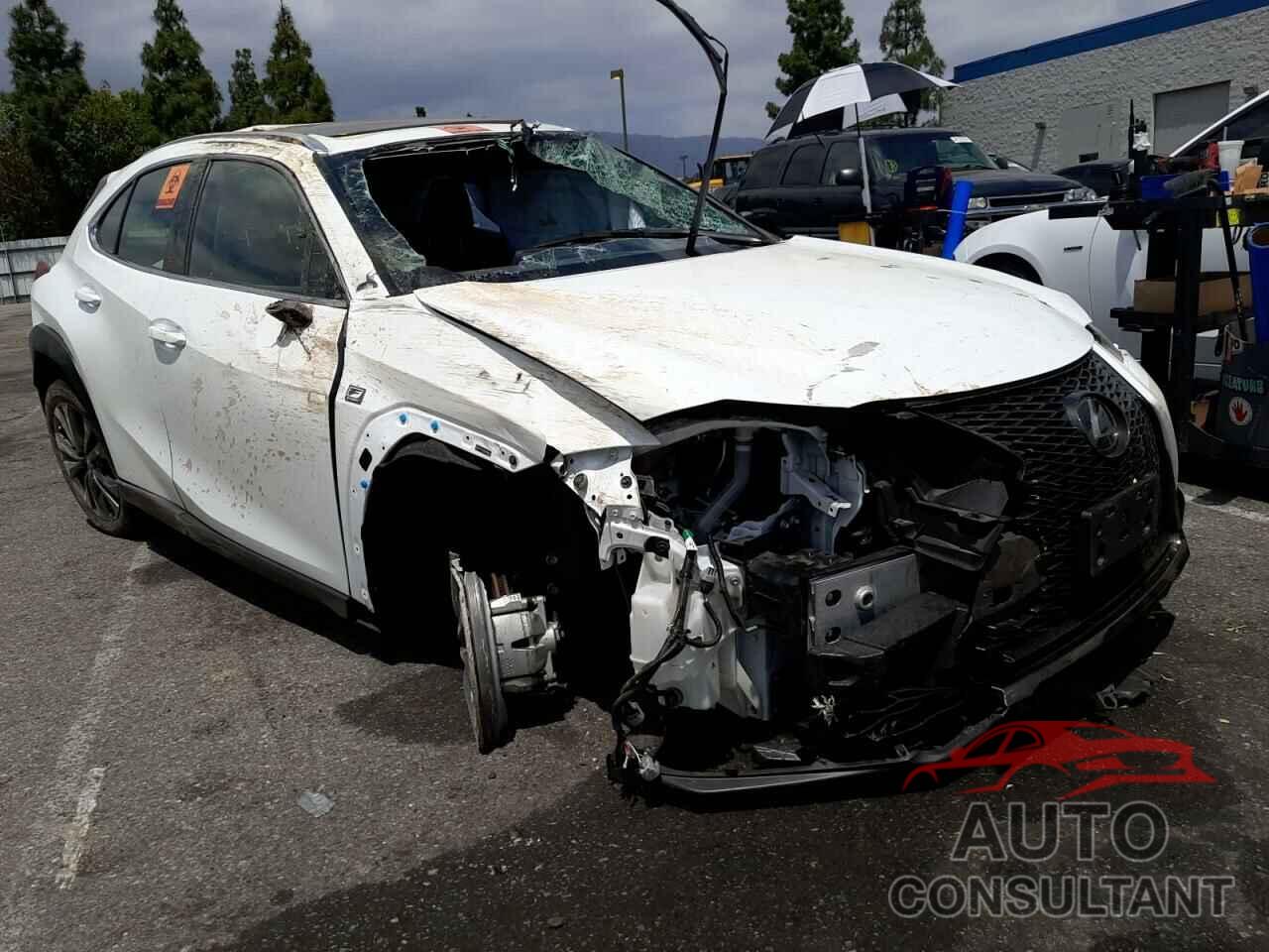 LEXUS UX 200 2019 - JTHY3JBH1K2006771