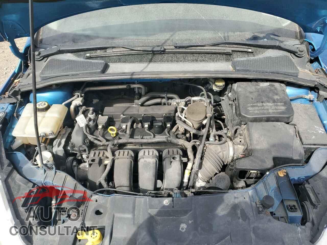 FORD FOCUS 2015 - 1FADP3F24FL299612