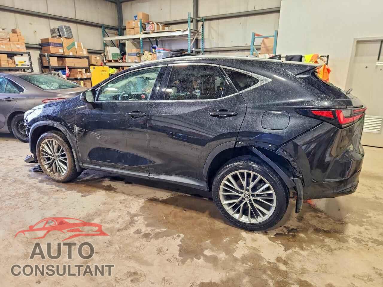 LEXUS UNKNOWN 2025 - 2T2GGCEZ6SC089452