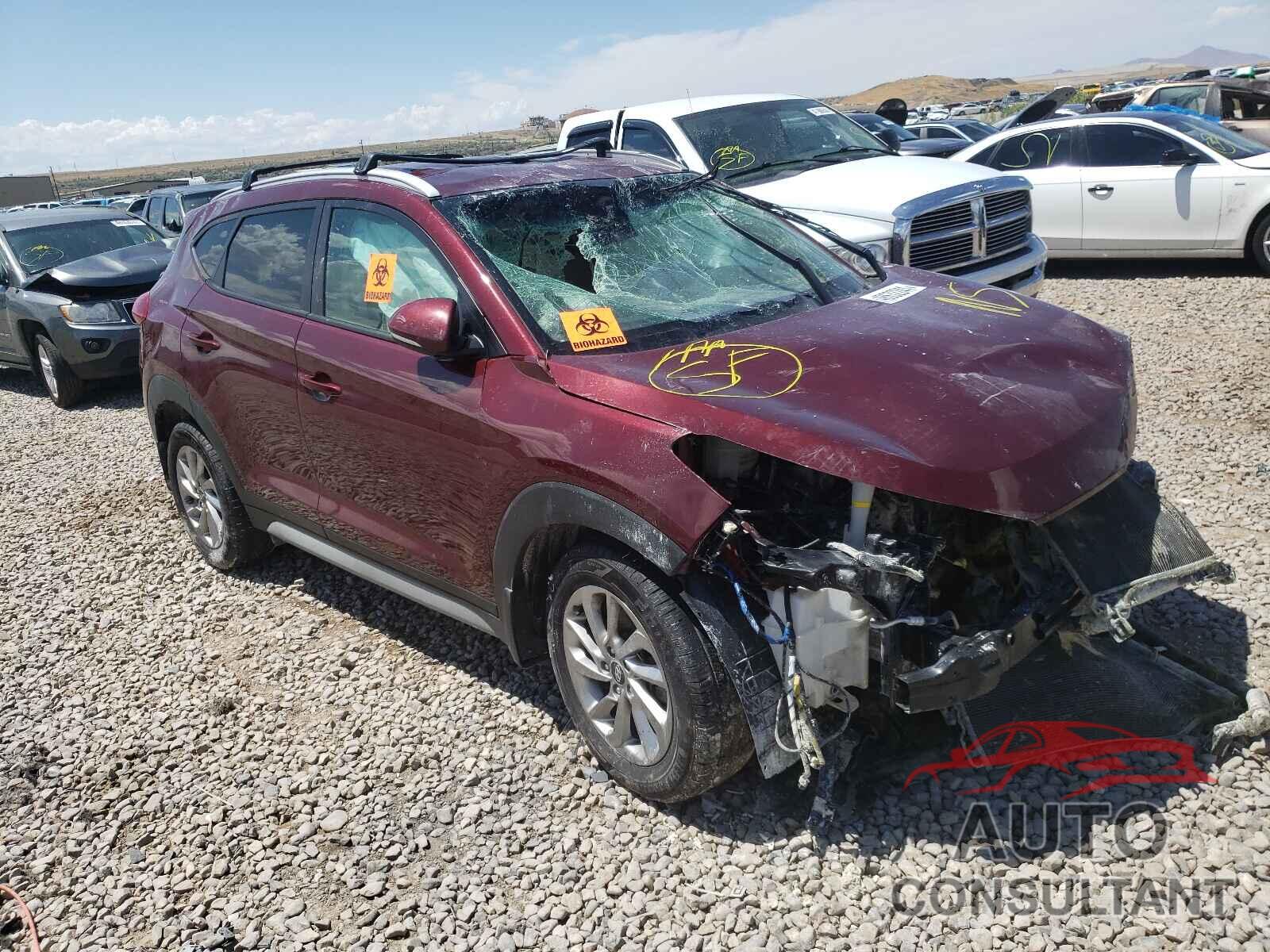 HYUNDAI TUCSON 2017 - KM8J3CA41HU549902