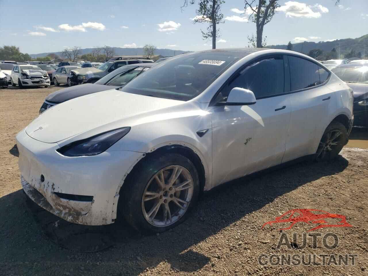 TESLA MODEL Y 2023 - 7SAYGAEE0PF793582