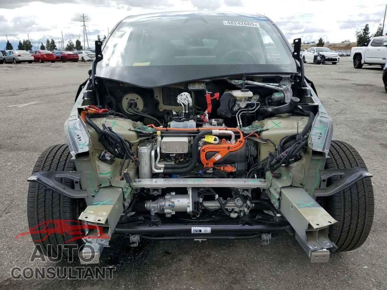 TESLA MODEL Y 2024 - 7SAYGDED2RF091436