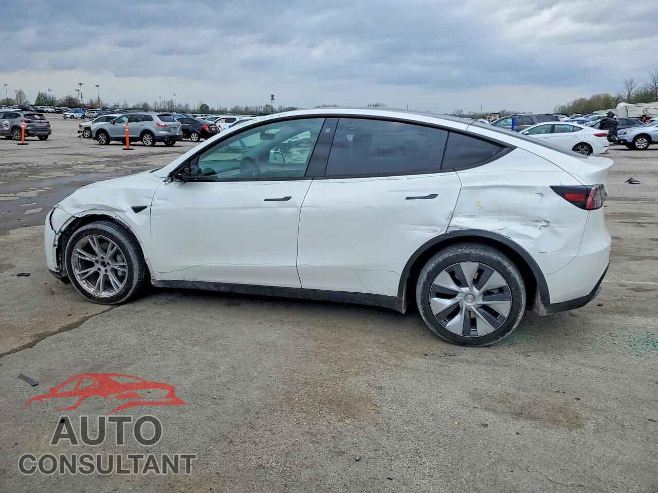 TESLA MODEL Y 2023 - 7SAYGDEE6PF599348
