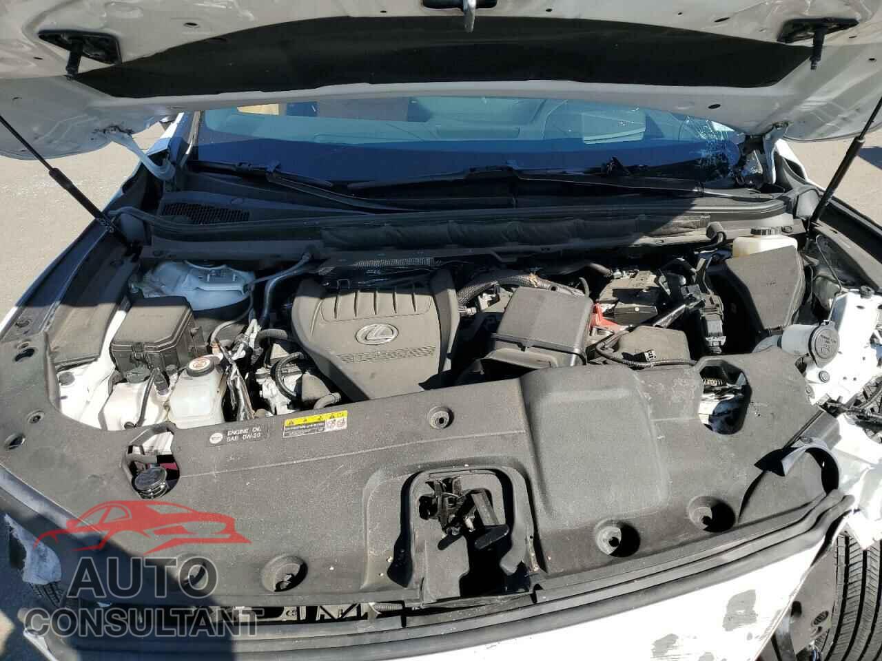 LEXUS RX350 2023 - 2T2BAMCA6PC018192