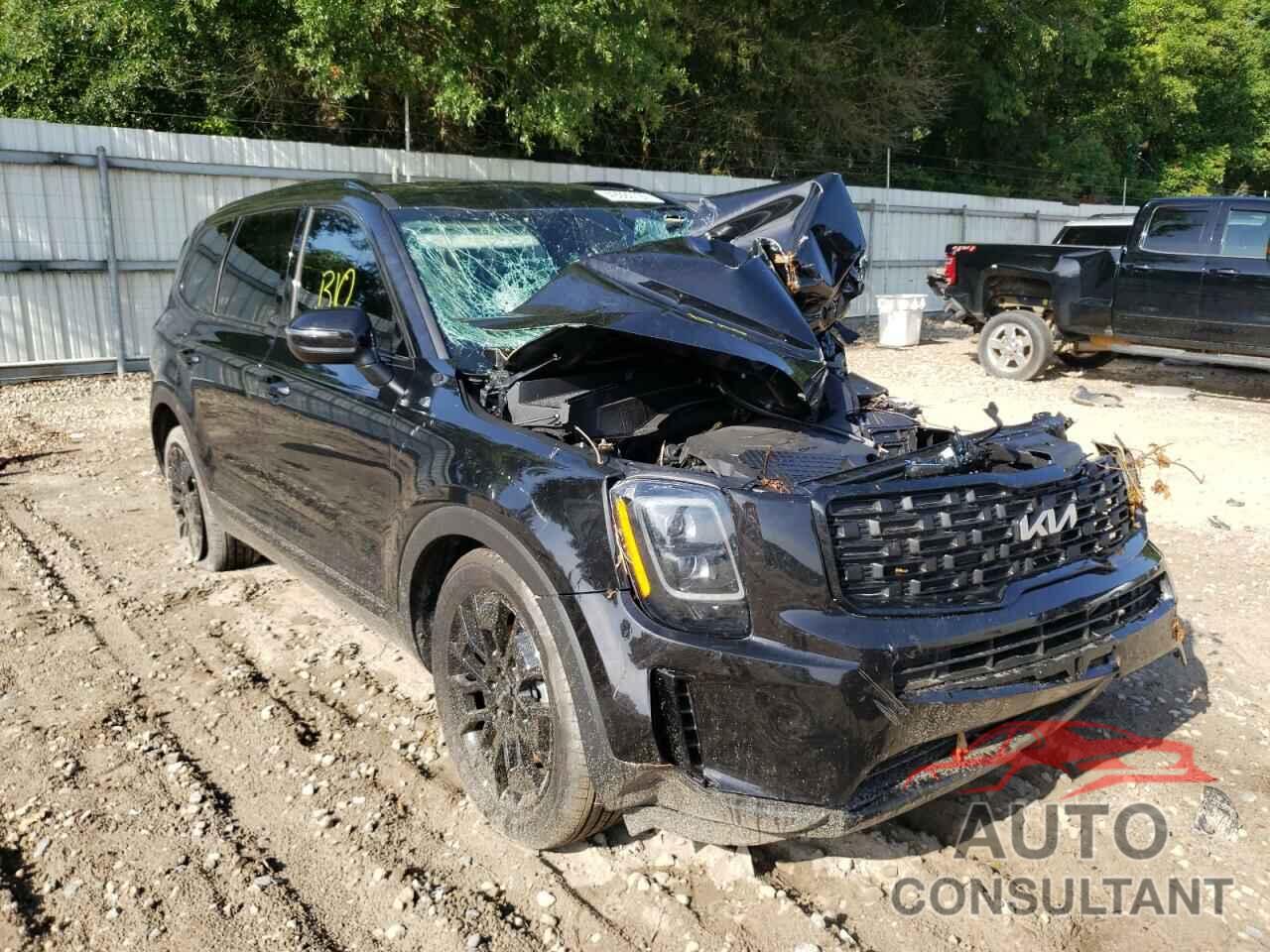 KIA TELLURIDE 2022 - 5XYP3DHC2NG251955