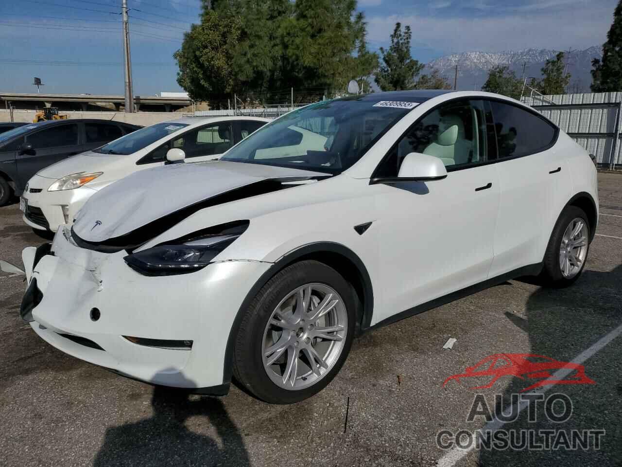 TESLA MODEL Y 2024 - 7SAYGDEEXRF981305