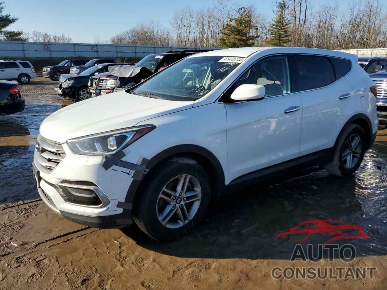 HYUNDAI SANTA FE 2017 - 5XYZTDLB5HG442281