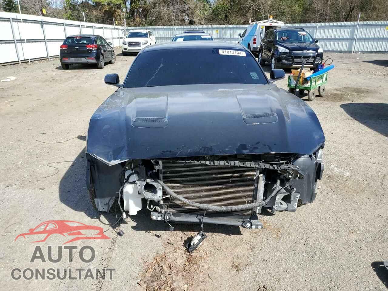 FORD MUSTANG 2019 - 1FA6P8CF3K5118432