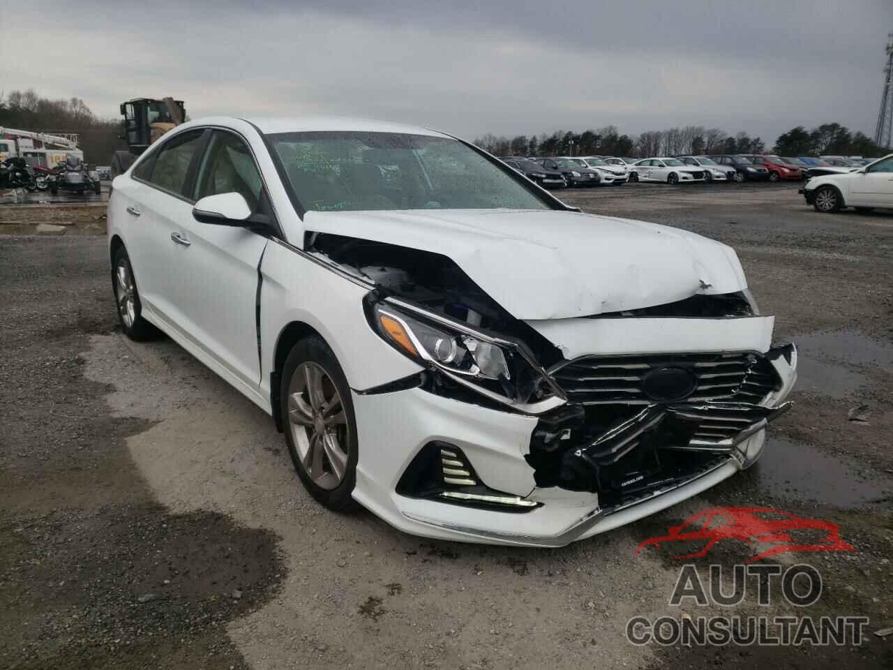 HYUNDAI SONATA 2018 - 5NPE34AF3JH673246