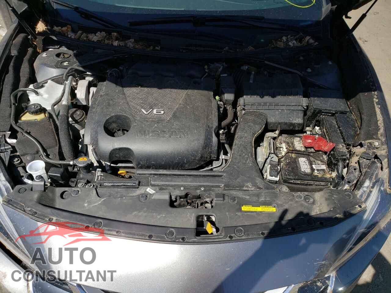 NISSAN MAXIMA 2017 - 1N4AA6AP1HC443242