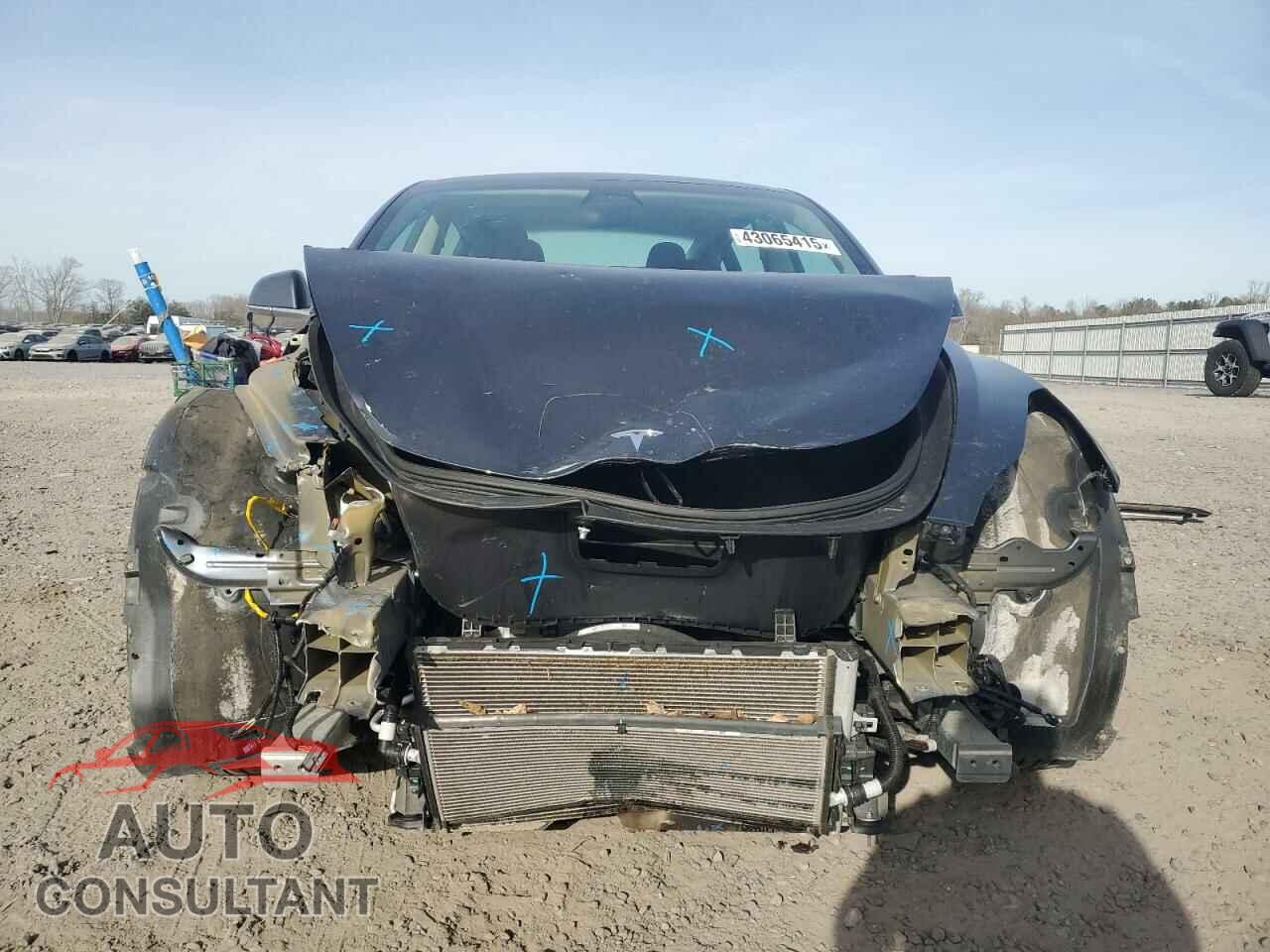 TESLA MODEL 3 2019 - 5YJ3E1EB3KF437588