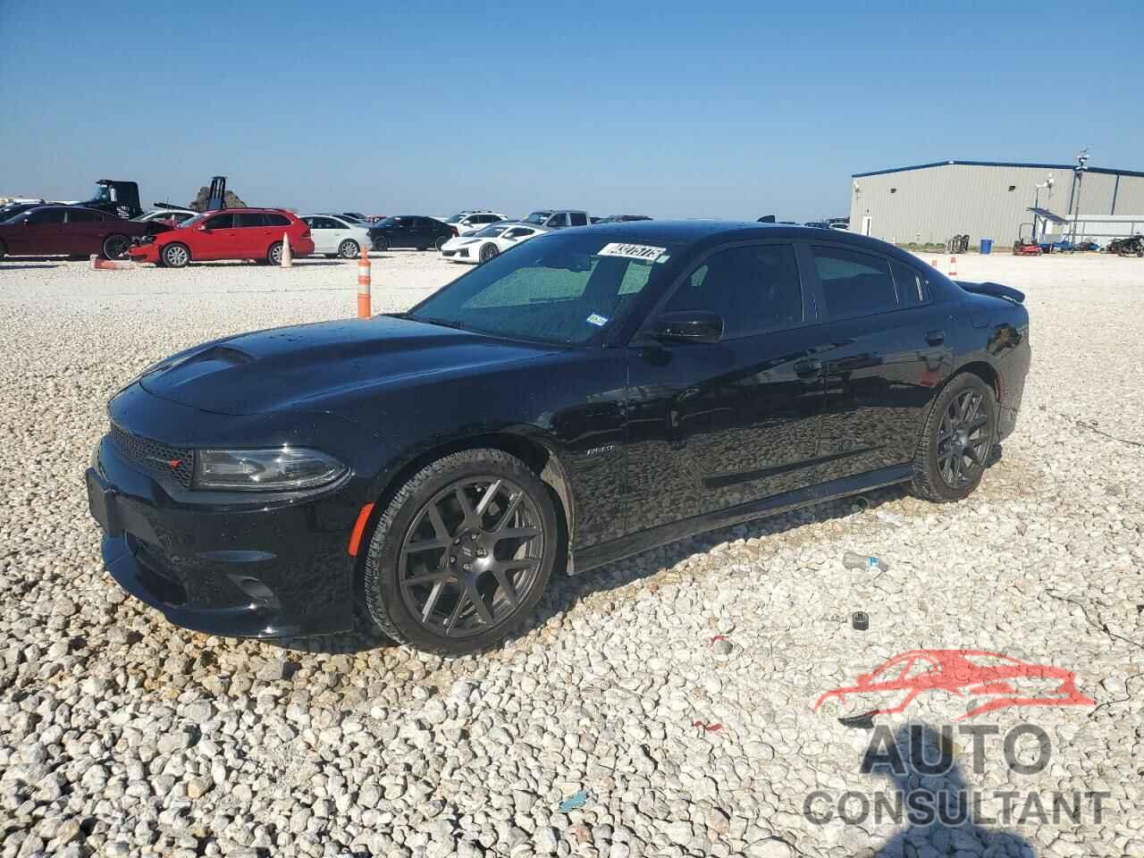 DODGE CHARGER 2019 - 2C3CDXCTXKH749228