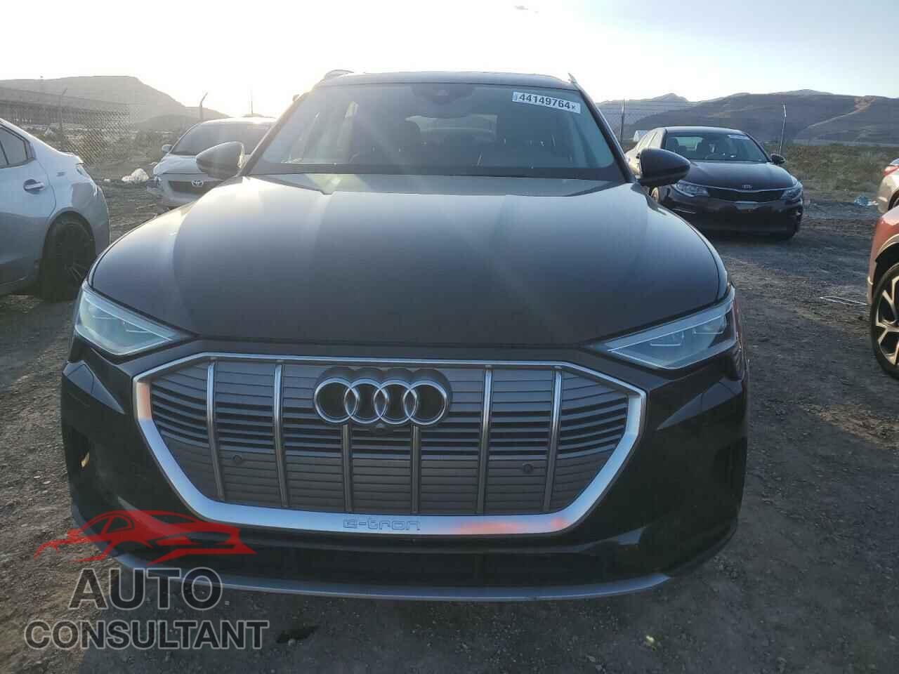 AUDI E-TRON 2019 - WA1LABGE3KB022227