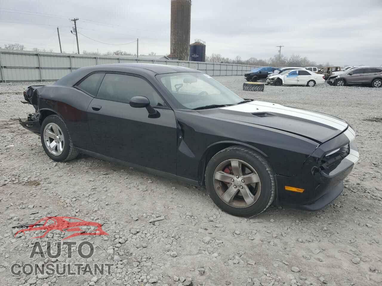 DODGE CHALLENGER 2013 - 2C3CDYAG2DH719221